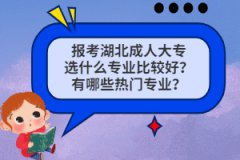 報(bào)考湖北成人大專選什么專業(yè)比較好？有哪些熱門專業(yè)？