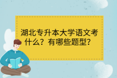湖北專升本大學(xué)語文考什么？有哪些題型？