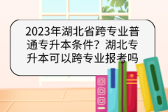 2023年湖北省跨專業(yè)普通專升本條件？湖北專升本可以跨專業(yè)報考嗎？