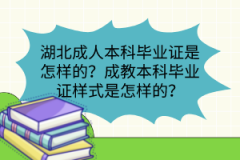 湖北成人本科畢業(yè)證是怎樣的？成教本科畢業(yè)證樣式是怎樣的？