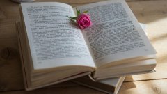 2020年湖北專升本考生如果不升本,可以享受哪些就業(yè)政策?