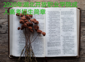 2020年湖北開放職業(yè)學院成人高考招生簡章