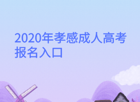 2020年孝感成人高考報名入口