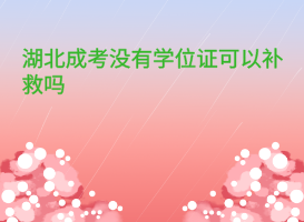 湖北成考沒有學(xué)位證可以補(bǔ)救嗎