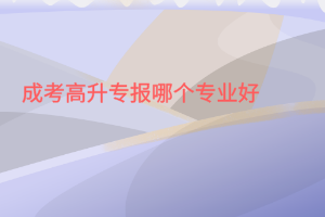 成考高升專報(bào)哪個(gè)專業(yè)好