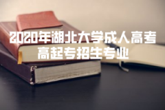 2020年湖北大學(xué)成人高考專升本招生專業(yè)是什么？