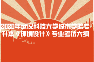 2020年武漢科技大學(xué)城市學(xué)院專升本《環(huán)境設(shè)計》專業(yè)考試大綱