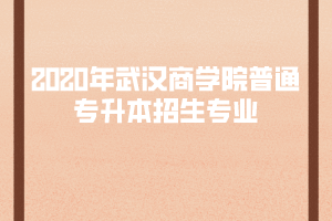 2020年武漢商學(xué)院普通專升本招生專業(yè)