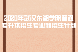 2020年武漢東湖學(xué)院普通專升本招生專業(yè)和招生計(jì)劃