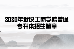2020年武漢工商學(xué)院普通專升本招生簡章