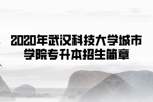 2020年武漢科技大學(xué)城市學(xué)院專(zhuān)升本招生簡(jiǎn)章