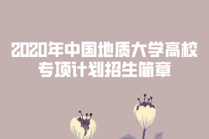 2020年中國地質(zhì)大學(xué)高校專項計劃招生簡章