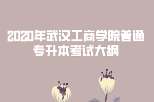 2020年武漢工商學(xué)院專升本《經(jīng)濟(jì)學(xué)》考試大綱