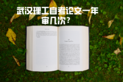 武漢理工自考論文一年審幾次？
