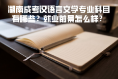 湖南成考漢語言文學(xué)專業(yè)科目有哪些？就業(yè)前景怎么樣？