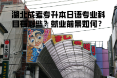 湖北成考專升本日語專業(yè)科目有哪些？就業(yè)前景如何？