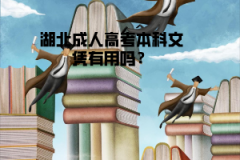 湖北成人高考本科文憑有用嗎？