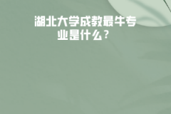 湖北大學(xué)成教最牛專業(yè)是什么？