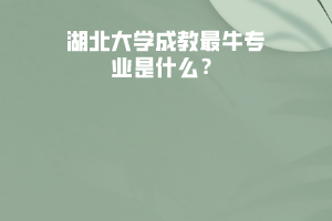 湖北大學成教最牛專業(yè)是什么