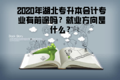 2020年湖北專升本會(huì)計(jì)專業(yè)有前途嗎？就業(yè)方向是什么？