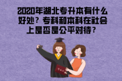 2020年湖北專升本有什么好處？?？坪捅究圃谏鐣鲜欠袷枪綄Υ?></a></div>
								<div   id=