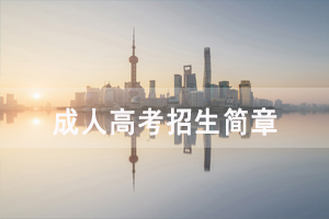 2020年武漢音樂學(xué)院成人高考招生簡(jiǎn)章