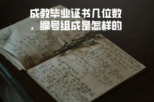 武漢理工大學(xué)成教畢業(yè)證書幾位數(shù)，編號組成是怎樣的