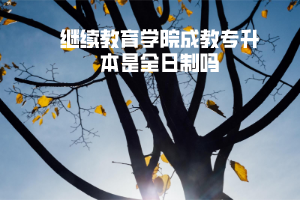 湖北工業(yè)大學(xué)繼續(xù)教育學(xué)院成教專(zhuān)升本是全日制嗎