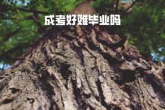 中南財大成考好難畢業(yè)嗎