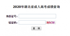 2020年華中科技大學成人高考成績查詢時間及入口