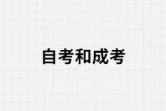 湖南成考和自考哪個(gè)學(xué)歷對(duì)于找工作更有好處？
