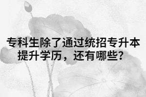 ?？粕送ㄟ^統(tǒng)招專升本提升學(xué)歷，還有哪些？