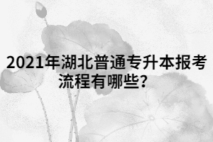 2021年湖北普通專升本報考流程有哪些？