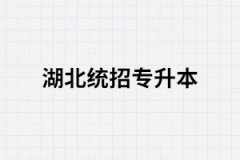 2021年湖北專升本英語統(tǒng)考該怎樣復(fù)習(xí)？