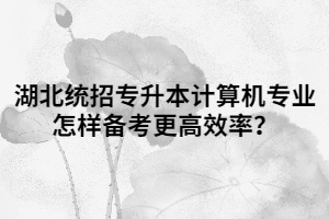 湖北統(tǒng)招專升本計算機(jī)專業(yè)怎樣備考更高效率？