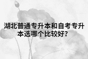 湖北普通專升本和自考專升本選哪個比較好？