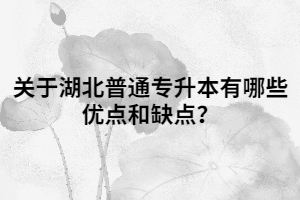 關(guān)于湖北普通專升本有哪些優(yōu)點和缺點？