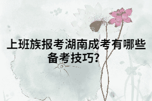 上班族報(bào)考湖南成考有哪些備考技巧？