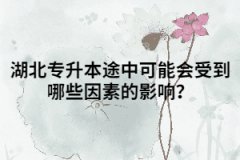 湖北專升本途中可能會受到哪些因素的影響？