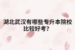 湖北公辦.民辦.獨(dú)立院校這三者有什么區(qū)別？
