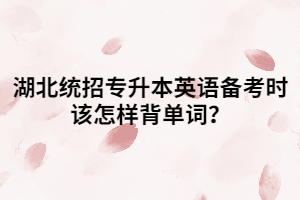 湖北統(tǒng)招專升本英語備考時該怎樣背單詞？