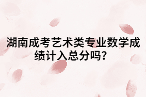 湖南成考藝術(shù)類專業(yè)數(shù)學(xué)成績計(jì)入總分嗎？