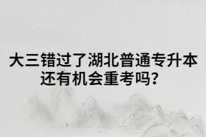 大三錯(cuò)過(guò)了湖北普通專升本還有機(jī)會(huì)重考嗎？