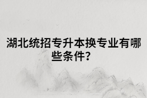 湖北統(tǒng)招專升本換專業(yè)有哪些條件？