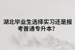 湖北畢業(yè)生選擇實習還是報考普通專升本？
