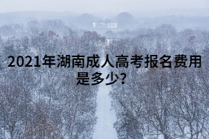 2021年湖南成人高考報(bào)名費(fèi)用是多少?