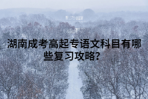 湖南成考高起專(zhuān)語(yǔ)文科目有哪些復(fù)習(xí)攻略？