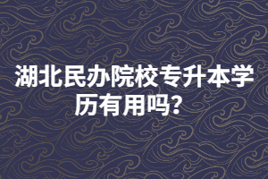 湖北民辦院校專升本學(xué)歷有用嗎？