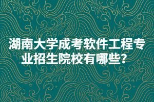 湖南大學(xué)成考軟件工程專業(yè)招生院校有哪些？