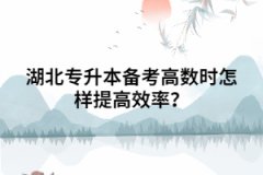 湖北專升本備考高數(shù)時怎樣提高效率？